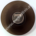 PANTERA - 1990-2000: A Decade Of Domination (2LP) - EU Rhino COLOURED VINYL Limited Press